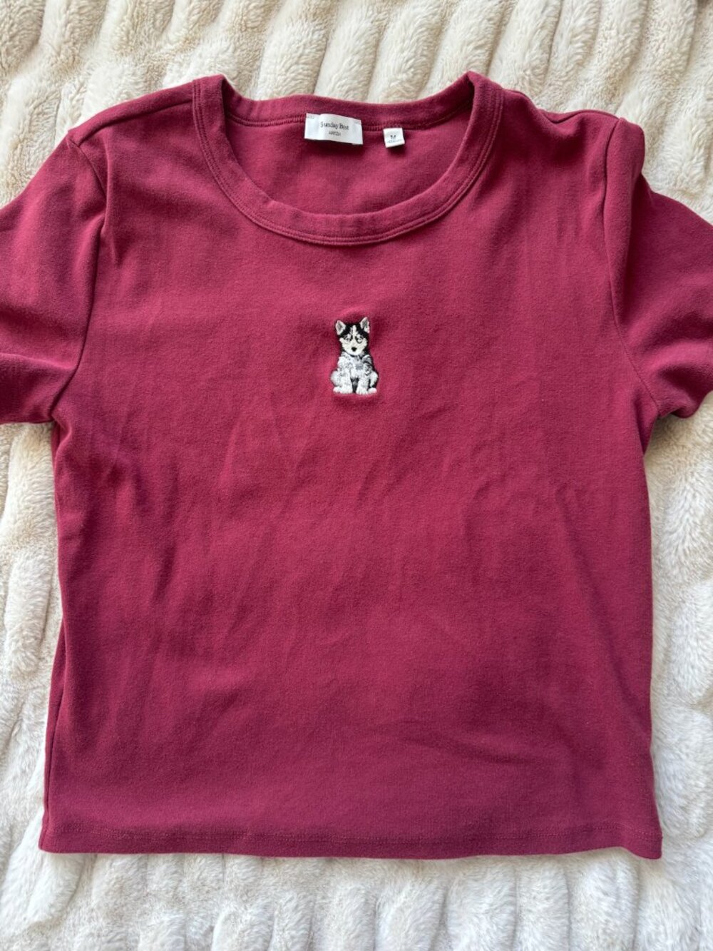 Aritzia Icon T shirt